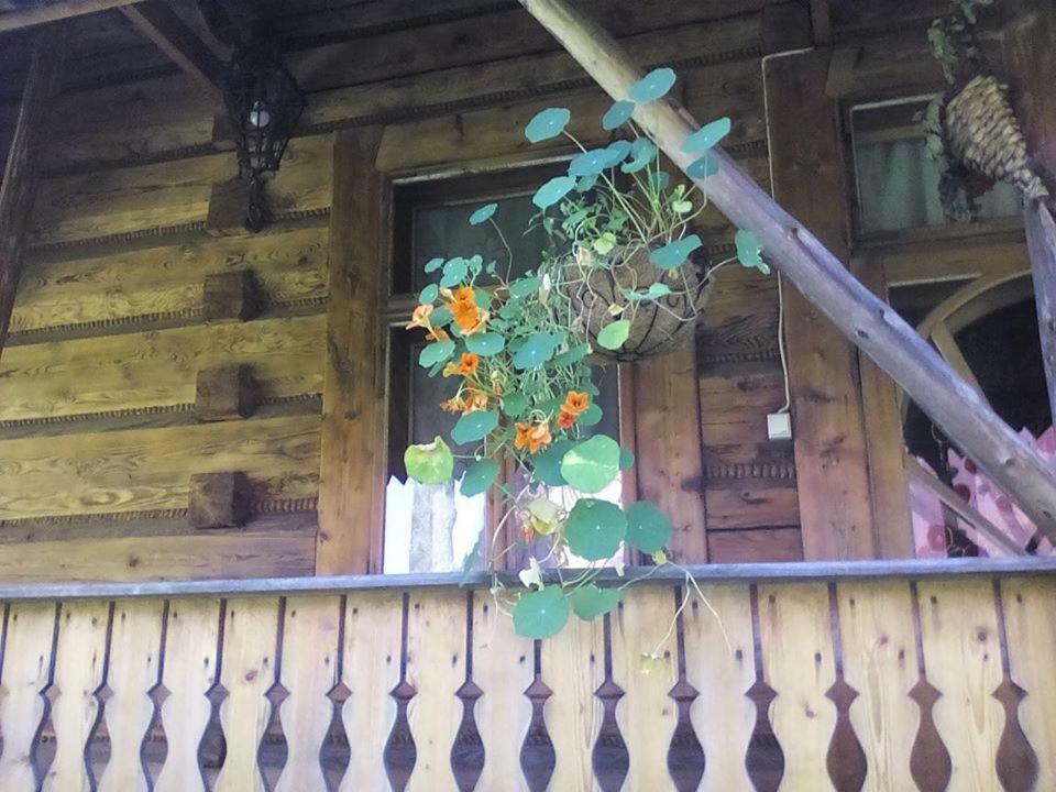 Kwatery Prywatne-Romanowka Zakopane Exterior photo